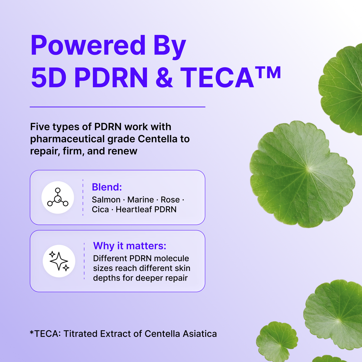 Centellian24 Expert Madeca Cream Active Renew PDRN 50 ml – imagen 9